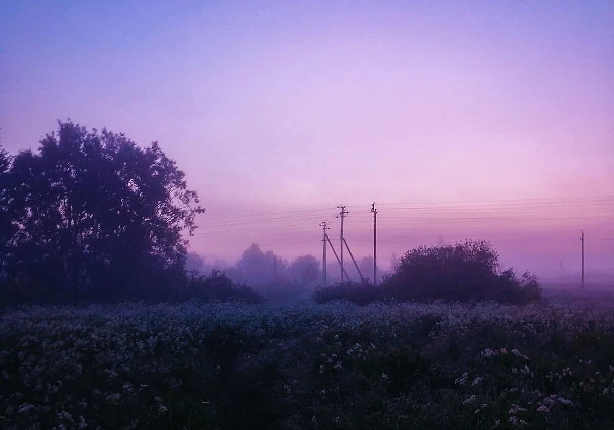 91网美剧讲义式整理:主题信息茧房有没有加深;练习把转述改成中性转述;备注评论时更有底气